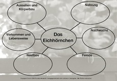 Mindmap-Eichhörnchen-D.pdf